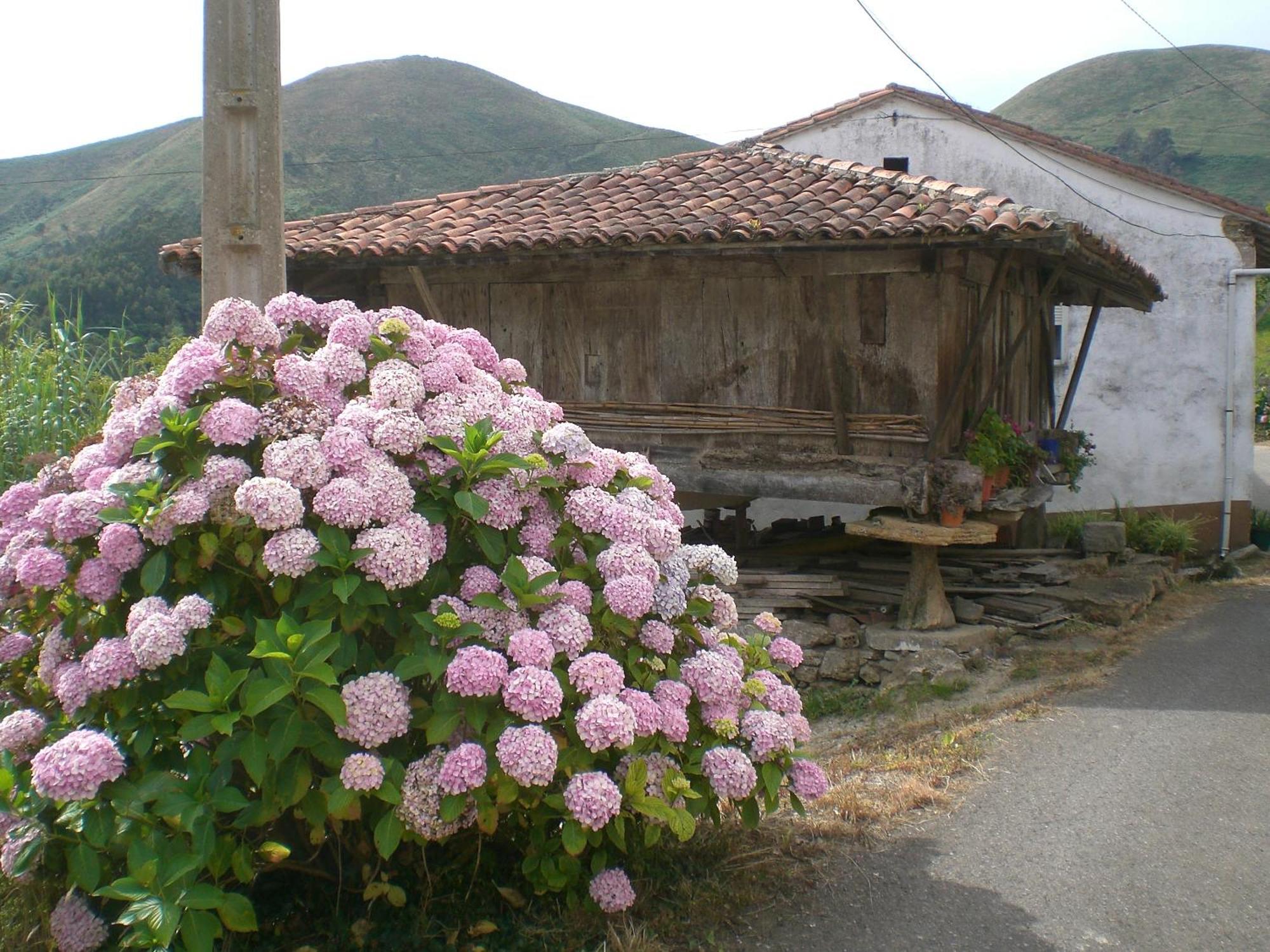 Penzion Ashram De La Peral Illas Exteriér fotografie